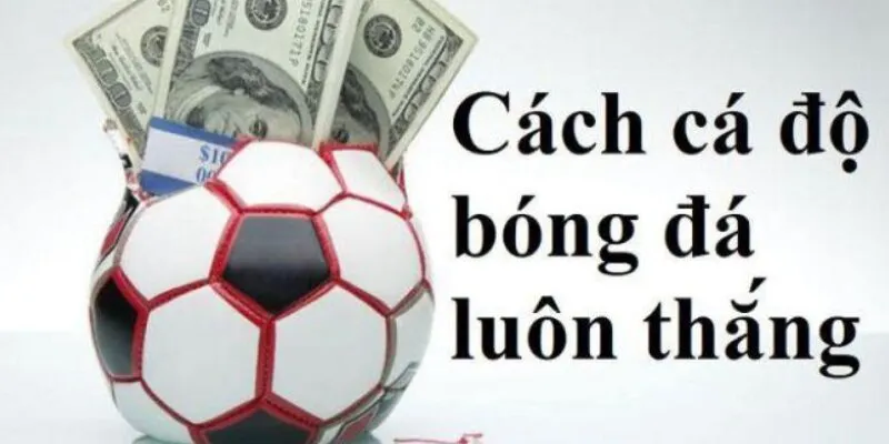 Cách dự đoán kết quả bóng đá chính xác tại 33win