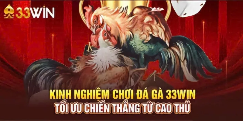 Kinh nghiệm giúp tăng thêm phần trăm thắng