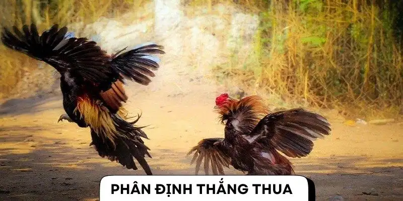 Thắng thua do trọng đưa ra quyết định căn cứ vào tình hình